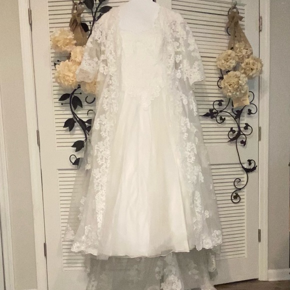 David’s Wedding Gown Plus Size - Picture 11 of 16